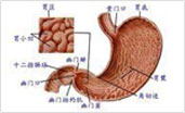 六安胃肠医院治疗胃结石